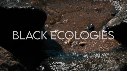 Black Ecologies Video thumbnail.jpg