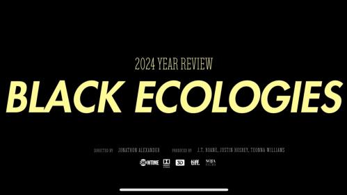 Black Ecologies Year in Review.jpg