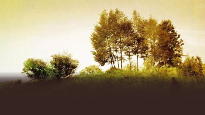 Black Ecologies Website Banner.png