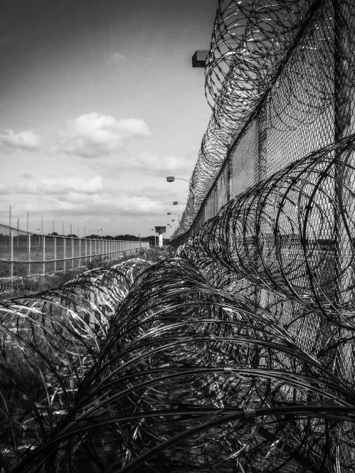The Carceral State