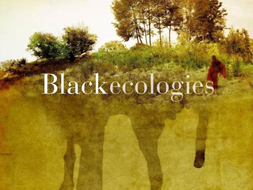 Black Ecologies Zine Cover.jpg