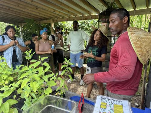 Black Ecologies field school - New Orleans 2024