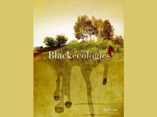 Black Ecologies Zine Cover 50-50.jpg
