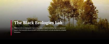 Black ecologies banner website.jpg